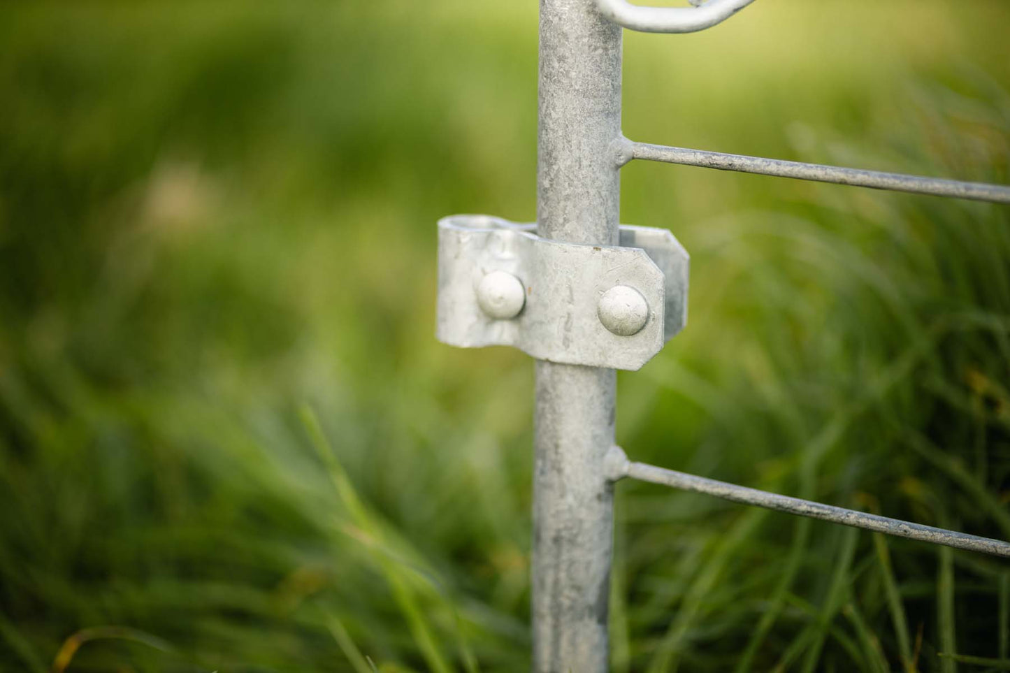 Spare Hinge for Farm Gates